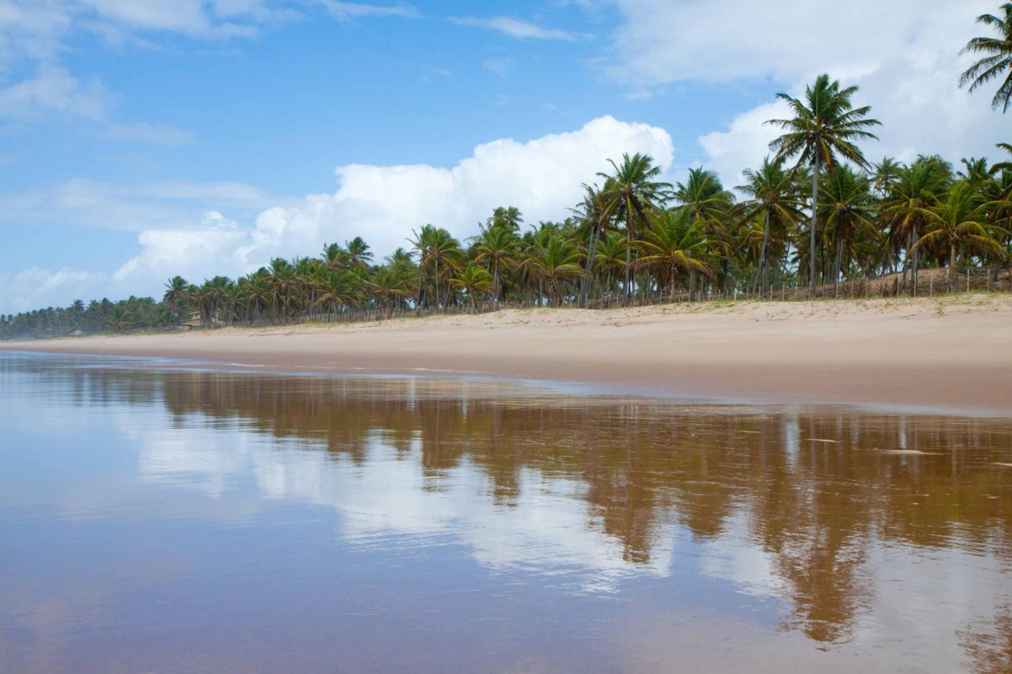 Grand Palladium Imbassai Resort & Spa Luaran gambar Beach in Cabo de la Vela